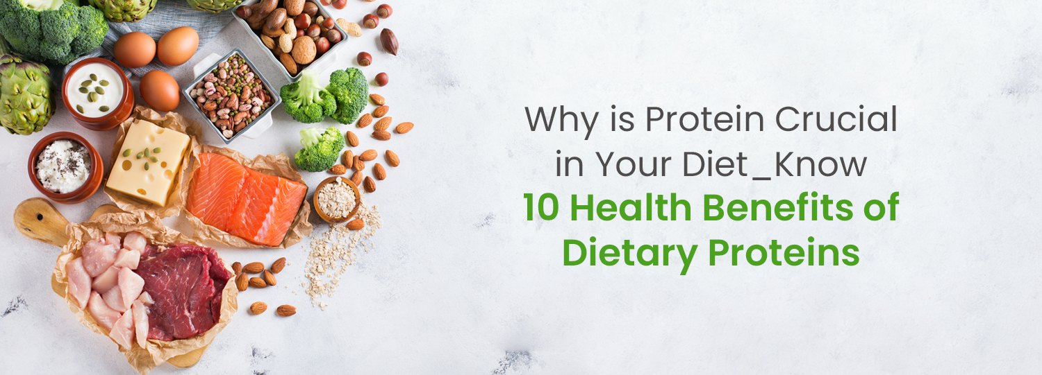 Why Our Body Needs Protein? 10 Best Health Benefits of Dietary Proteins ...